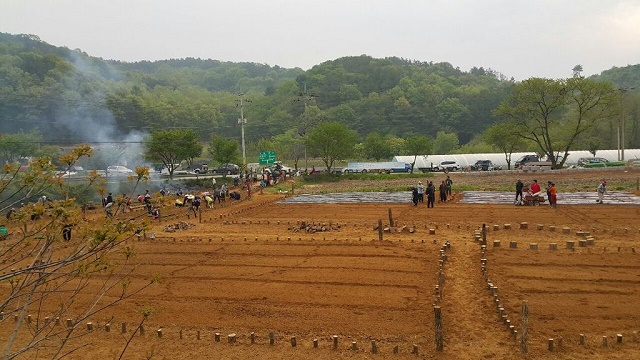 강상면 세월리 마을 꽃정원, 텃밭 만들기 프로젝트
