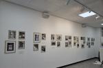 사진자료